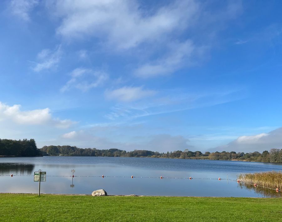 Badestelle an einem großen See mit Wiese und blauem Himmel