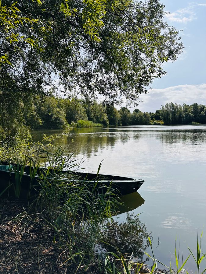 Ruderboot am schilfbewachsenen Ufer eines stillen Sees unter einer Weide